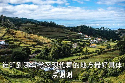 谁知到哪有学习现代舞的地方最好具体点谢谢
