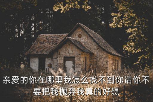 亲爱的你在哪里我怎么找不到你请你不要把我抛弃我真的好想