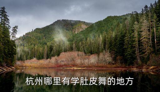 杭州哪里学肚皮舞好，杭州哪里有学肚皮舞的地方
