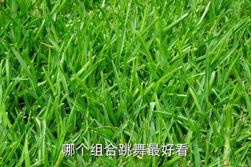 舞协有哪些好看的组合，现代舞 哪些女子组合的舞蹈比较好看而且不是很难
