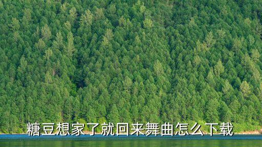 糖豆想家了就回来舞曲怎么下载