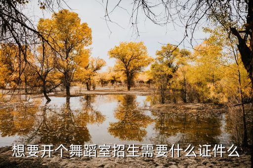 开舞蹈班需要什么证，办孩子的舞蹈班 需要什么证件
