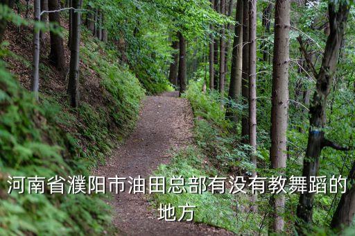 河南省濮阳市油田总部有没有教舞蹈的地方