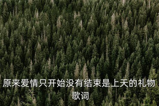 原来爱情只开始没有结束是上天的礼物 歌词