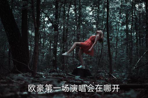 欧豪第一场演唱会在哪开
