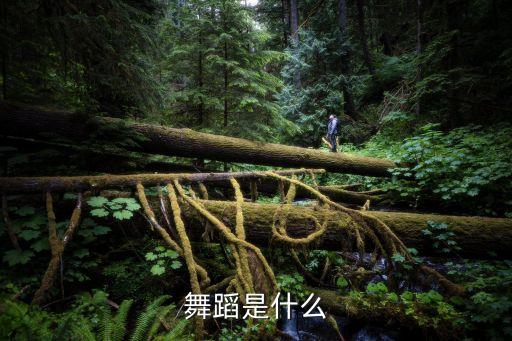 什么事舞蹈，舞蹈是什么