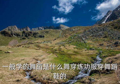 一般学的舞蹈是什么舞穿练功服穿舞蹈鞋的