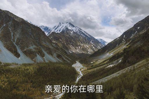 亲爱的你在哪里