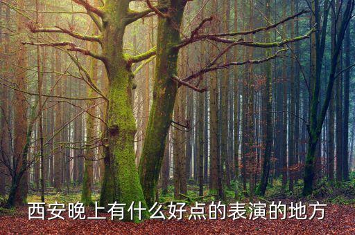 西安晚上有什么好点的表演的地方
