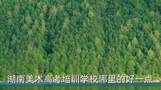 湖南美术高考培训学校哪里的好一点
