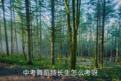 中考舞蹈特长生怎么考呀