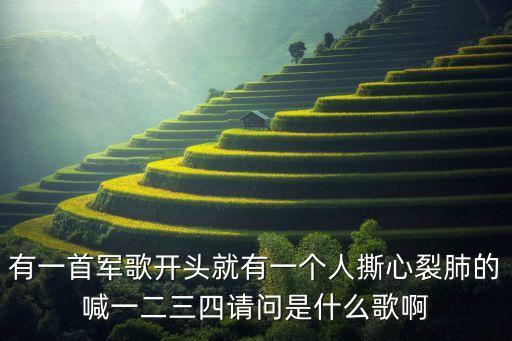 什么广场舞喊一二三四，有一首军歌开头就有一个人撕心裂肺的喊一二三四请问是什么歌啊