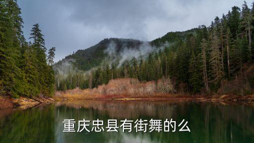 忠县哪里学舞蹈好，重庆忠县有街舞的么
