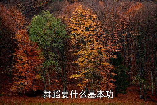 舞蹈要什么基本功