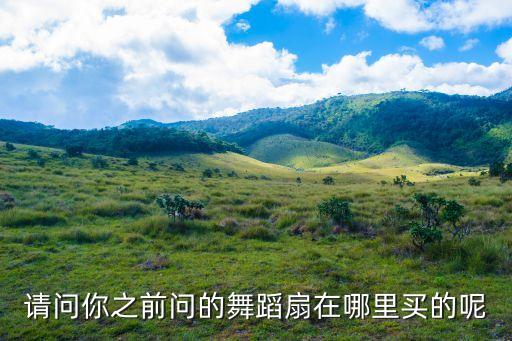 舞蹈扇子专卖店大全，请问你之前问的舞蹈扇在哪里买的呢