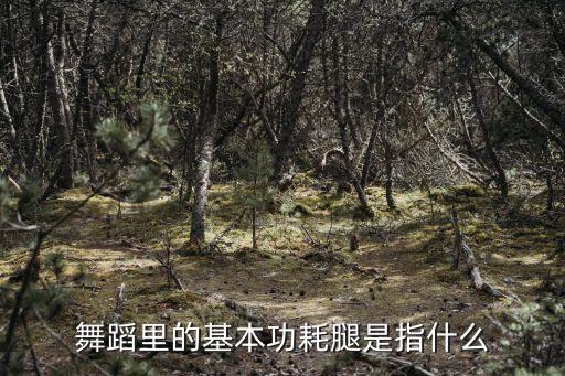 舞蹈里的基本功耗腿是指什么