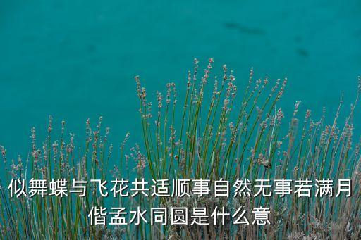 似舞蝶与飞花共适顺事自然无事若满月偕孟水同圆是什么意