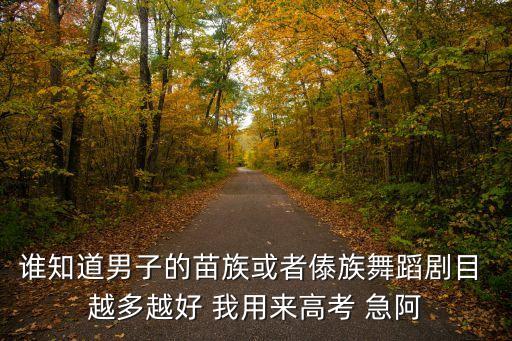 傣族独舞男有哪些，谁知道男子的苗族或者傣族舞蹈剧目 越多越好 我用来高考 急阿