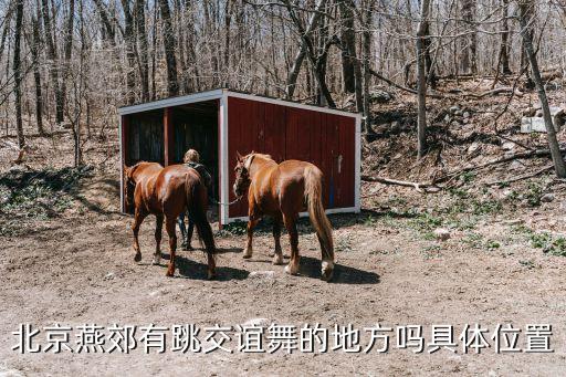 北京燕郊有跳交谊舞的地方吗具体位置