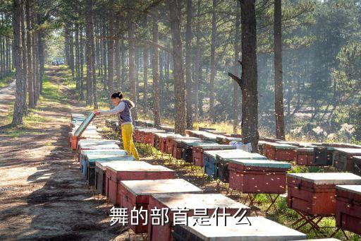 舞的部首是什么