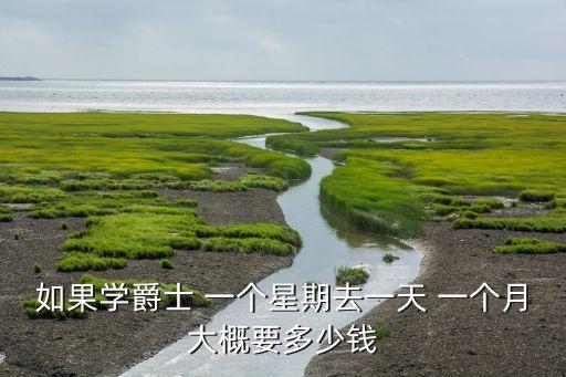 如果学爵士 一个星期去一天 一个月大概要多少钱
