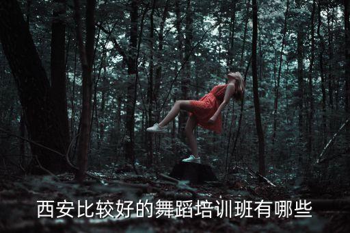 西安比较好的舞蹈培训班有哪些