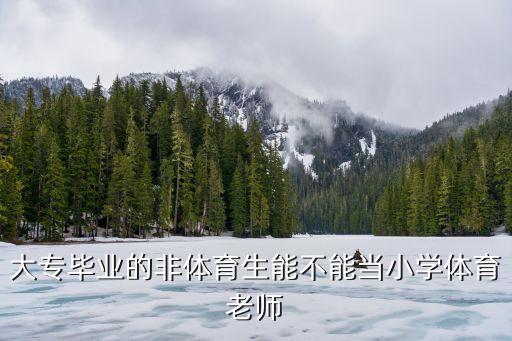非体育生可以考体育教师资格证吗，大专毕业的非体育生能不能当小学体育老师