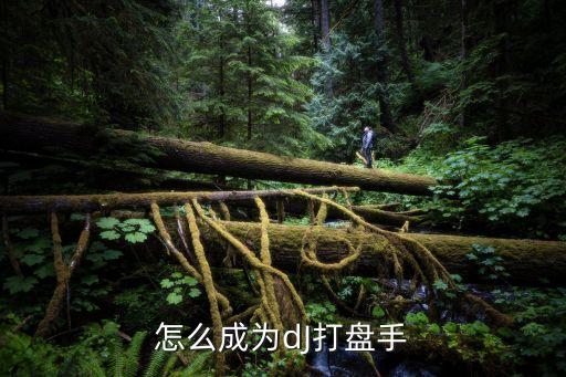 怎么成为dJ打盘手