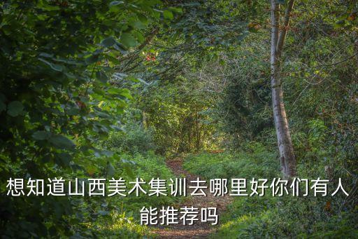 山西艺术类培训，想知道山西美术集训去哪里好你们有人能推荐吗