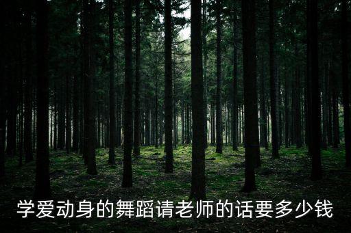 学爱动身的舞蹈请老师的话要多少钱