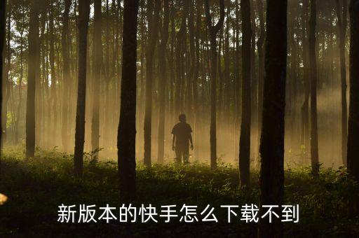 新版本的快手怎么下载不到