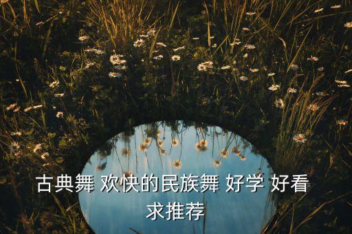 古典舞 欢快的民族舞 好学 好看 求推荐