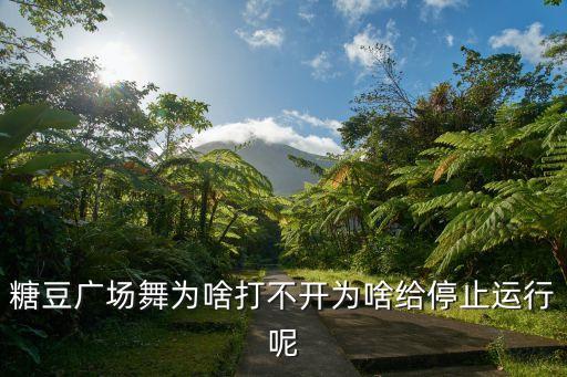糖豆广场舞为啥打不开为啥给停止运行呢