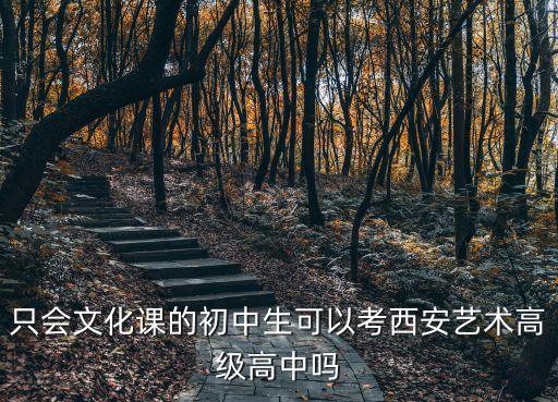 只会文化课的初中生可以考西安艺术高级高中吗