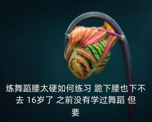 练舞蹈腰太硬如何练习 跪下腰也下不去 16岁了 之前没有学过舞蹈 但要
