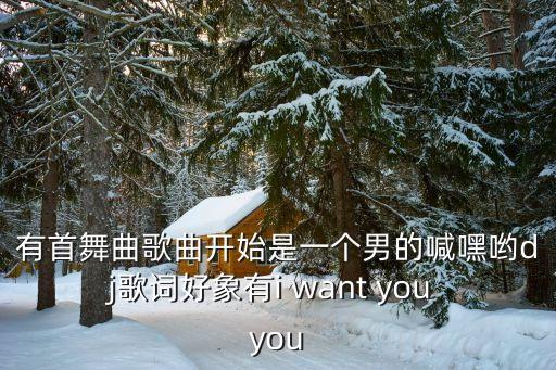 有首舞曲歌曲开始是一个男的喊嘿哟dj歌词好象有i want you you