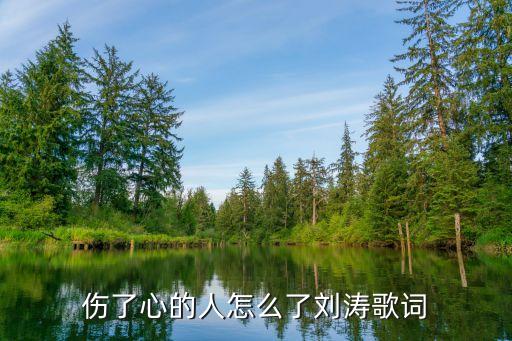 伤了心的人怎么了刘涛歌词