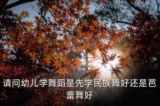 小孩初学舞蹈先学什么，请问幼儿学舞蹈是先学民族舞好还是芭蕾舞好