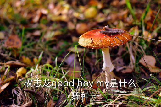 权志龙good boy mv是什么舞种