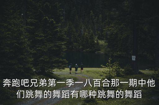 奔跑吧兄弟第一季一八百合那一期中他们跳舞的舞蹈有哪种跳舞的舞蹈