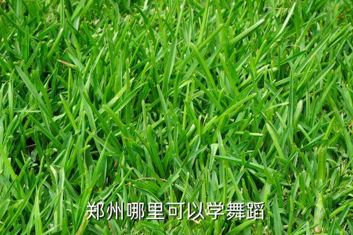 郑州哪里可以学舞蹈