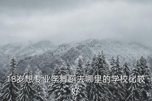 18岁想专业学舞蹈去哪里的学校比较好