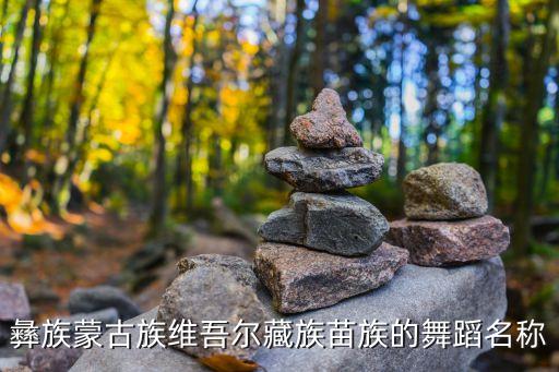 彝族蒙古族维吾尔藏族苗族的舞蹈名称