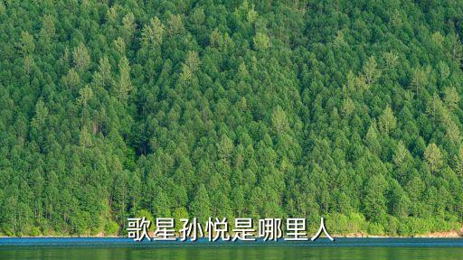 歌星孙悦是哪里人
