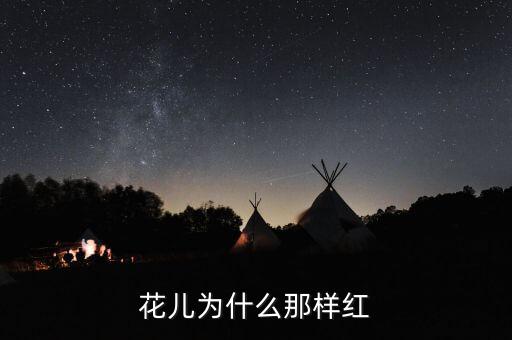 花儿为什么那样红