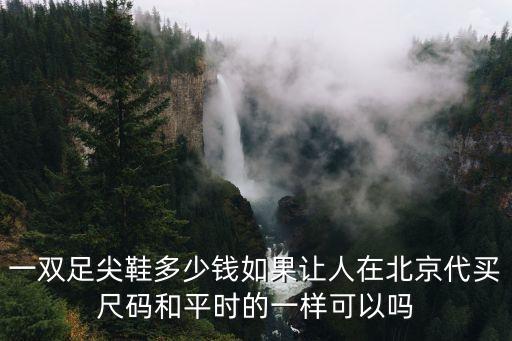 一双足尖鞋多少钱如果让人在北京代买尺码和平时的一样可以吗
