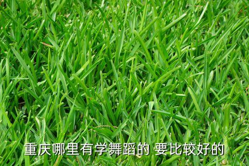 重庆哪里有学舞蹈的 要比较好的