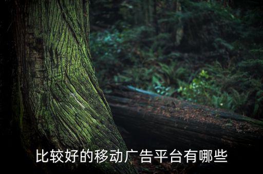 流量大的推广平台有哪些，什么网站推广好