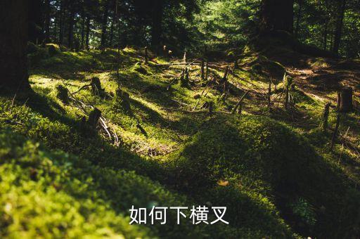 老师教横叉怎么练视频，横叉怎么练好呢