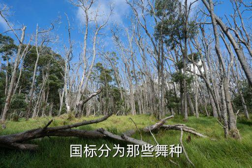 国标舞蹈全称是什么，国标舞有那几种